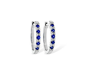 C245-03978: EARR .24 SAPP .30 TGW